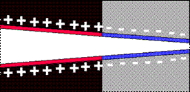 ion1