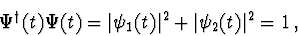 \begin{displaymath}\Psi^{\dag }(t)\Psi(t)=\vert\psi_1(t)\vert^2+\vert\psi_2(t)\vert^2=1\, ,
\end{displaymath}