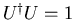 $U^{\dag }U=1$