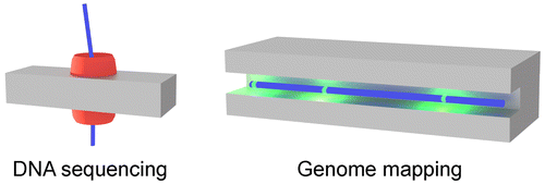 ACSNano_2016_11