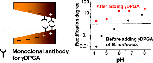 JACS_2009