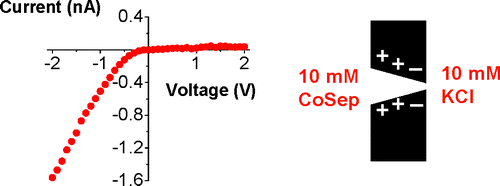 JACS_2009_H